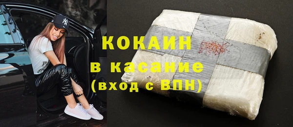 прущие грибы Абаза