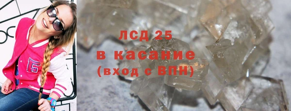 прущие грибы Абаза