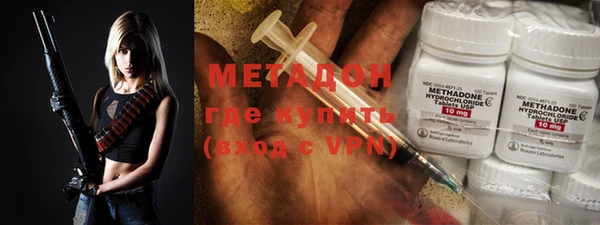 прущие грибы Абаза