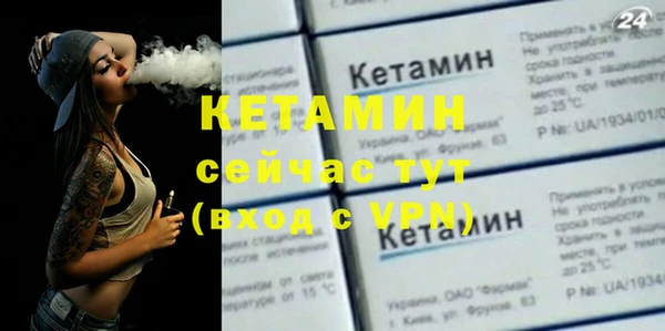 прущие грибы Абаза