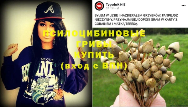 синтетический гашиш Абдулино