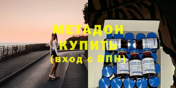 прущие грибы Абаза