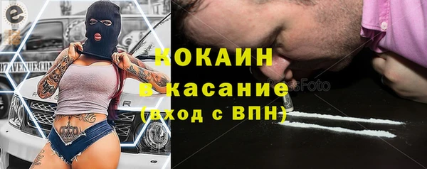 прущие грибы Абаза