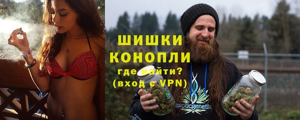 прущие грибы Абаза