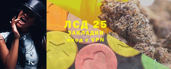 прущие грибы Абаза