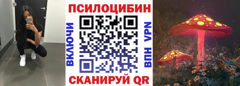 ссылка на мегу зеркало  Яровое  Галлюциногенные грибы Psilocybine cubensis 