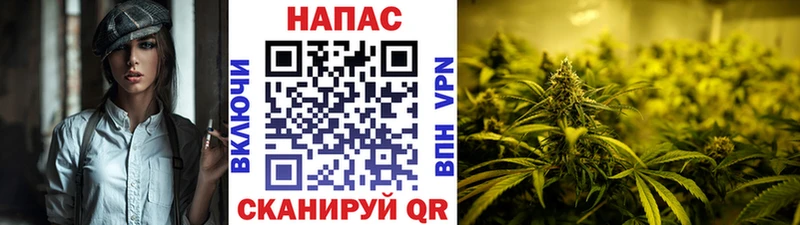 Канабис SATIVA & INDICA  где найти наркотики  Яровое 